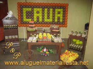 ALUGUEL PROVENÇAL RUSTICO