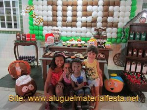 ALUGUEL MATERIAL RUSTICO